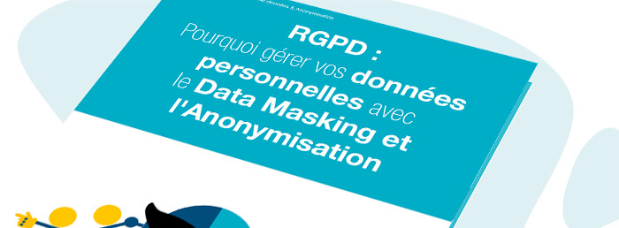 Bannière Masquage de données - White Paper