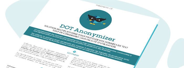 Bannière DOT Anonymizer Datasheet