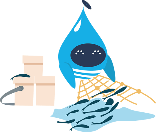 Illustration Provision DROPS