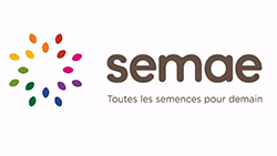 Semae Logo